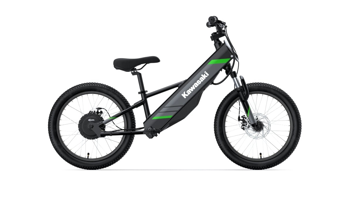 Kawasaki 2024 ELEKTRODE® 20