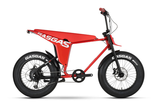 GASGAS MOTO 2 2024