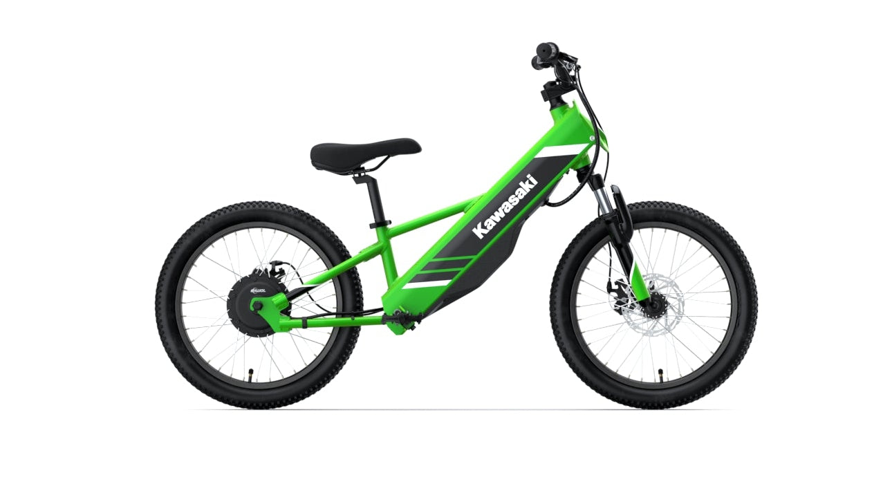Kawasaki 2024 ELEKTRODE® 20