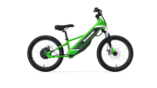 Kawasaki 2024 ELEKTRODE® 20